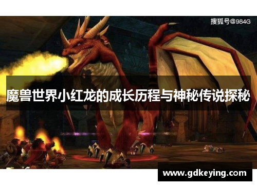 魔兽世界小红龙的成长历程与神秘传说探秘