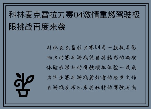 科林麦克雷拉力赛04激情重燃驾驶极限挑战再度来袭 科林麦克雷拉力赛04激情重燃驾驶极限挑战再度来袭